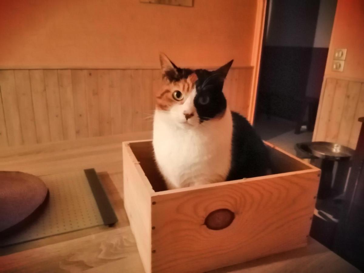 Grande Chambre D'Hote Proche Disneyland Et Parc Des Felins Guérard Dış mekan fotoğraf